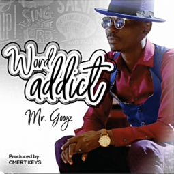 Mr Googz - Word Addict