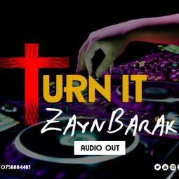 Zayn Barak - Turn It
