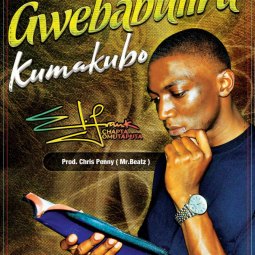 Frank chapta omutaputa - Gwebabulira Kumakubo