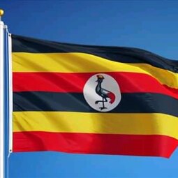 Pr Wilson Ssewanyana - My Motherland ft. All  Stars