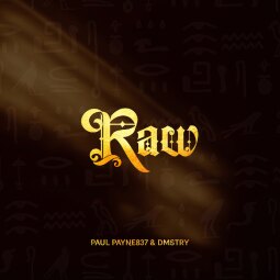Paul Payne837 ft  Dmstry - Raw