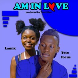 Trix Focus ft  Lamix - Am in love