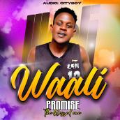 Promise Official - Waali
